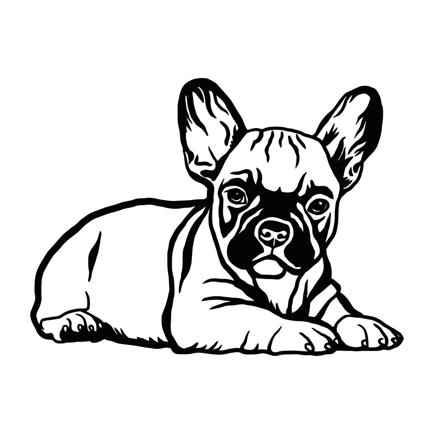 Französische Bulldogge Autoaufkleber #127