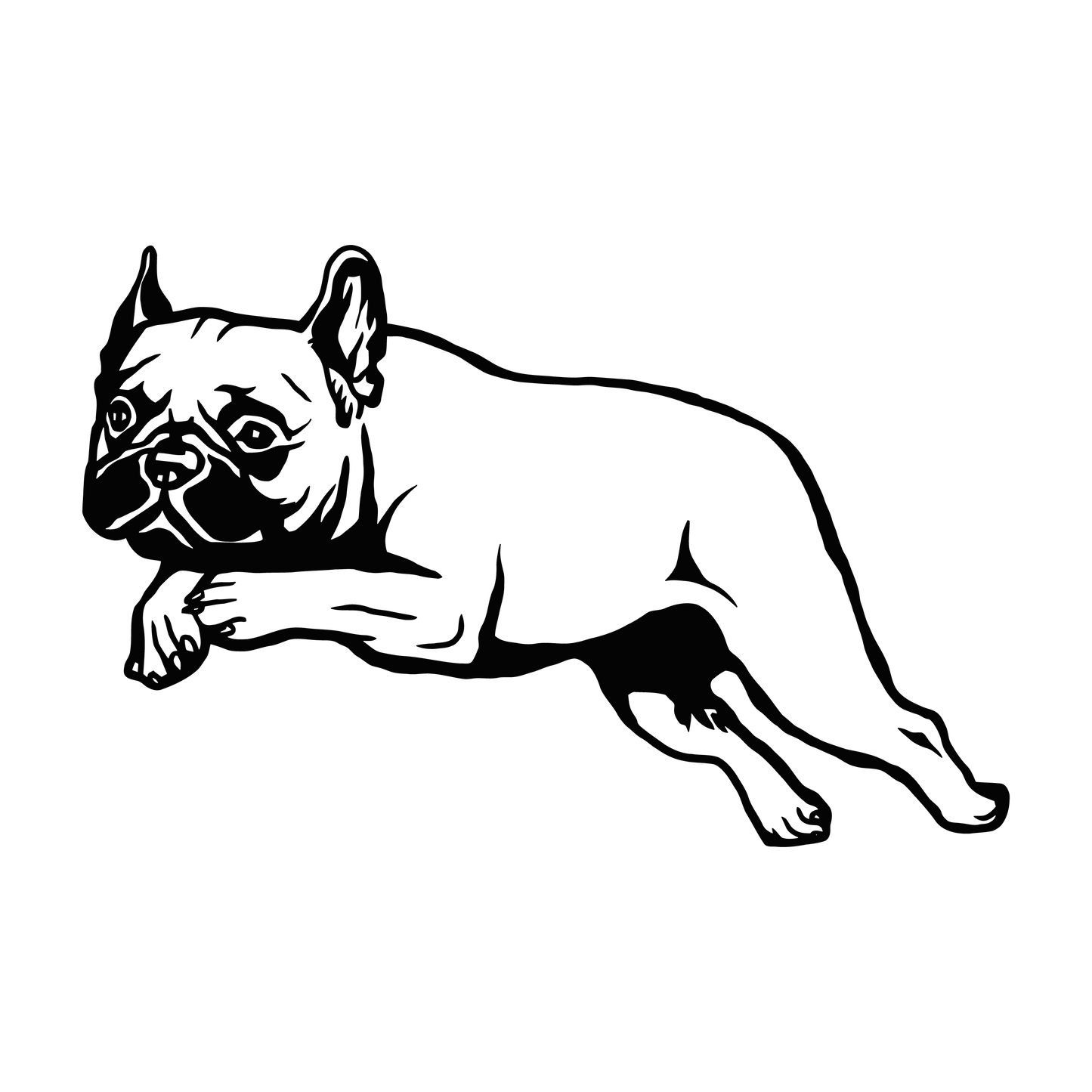 Französische Bulldogge Autoaufkleber #124