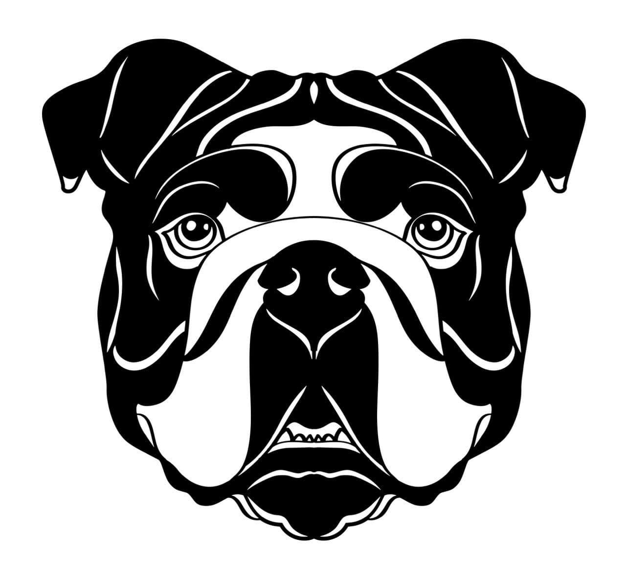 Englische Bulldogge Autoaufkleber #37