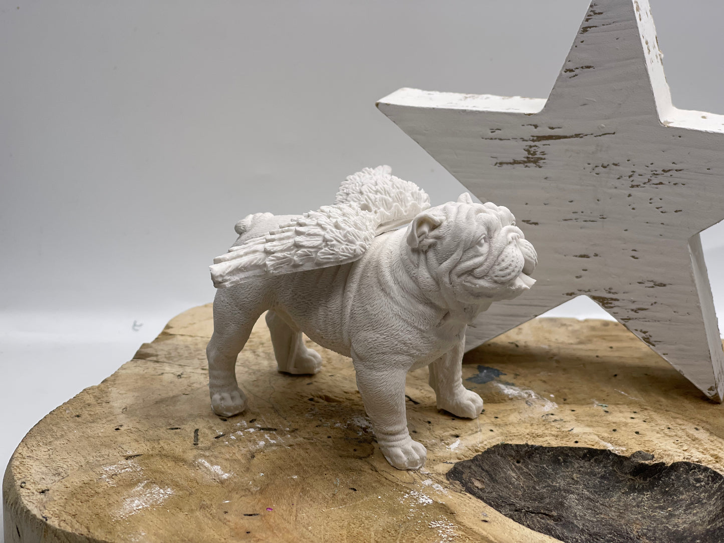 Englische Bulldogge Figur mit Flügeln #6