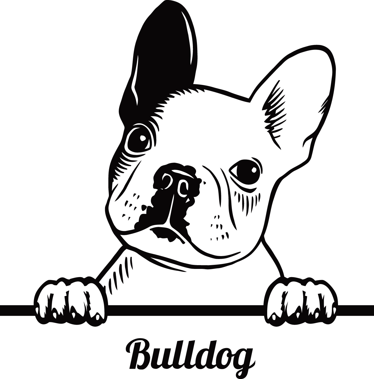 Französische Bulldogge Autoaufkleber #91