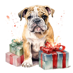 Englische Bulldogge Bügelbild Weihnachten #4