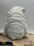 Englische Bulldogge Figur #4