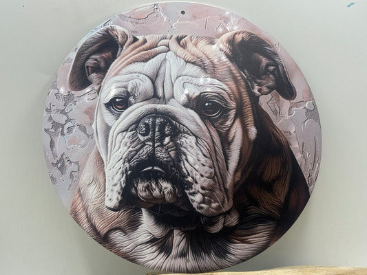 Englische Bulldogge Türschild / Dekoschild / Blechschild #2