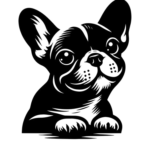 Französische Bulldogge Autoaufkleber #291