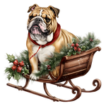 Englische Bulldogge Bügelbild Weihnachten #55