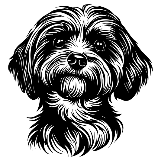 Havaneser Autoaufkleber #8