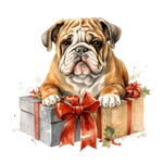 Englische Bulldogge Bügelbild Weihnachten #56