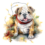 Englische Bulldogge Bügelbild Weihnachten #58