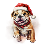 Englische Bulldogge Bügelbild Weihnachten #23