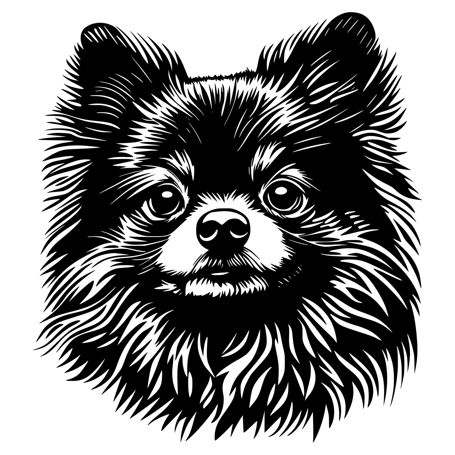 Zwergspitz Autoaufkleber #17