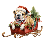 Englische Bulldogge Bügelbild Weihnachten #60