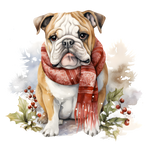 Englische Bulldogge Bügelbild Weihnachten #48