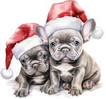 Französische Bulldogge Bügelbild Weihnachten #49