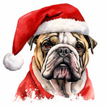 Englische Bulldogge Bügelbild Weihnachten #41