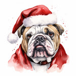 Englische Bulldogge Bügelbild Weihnachten #42