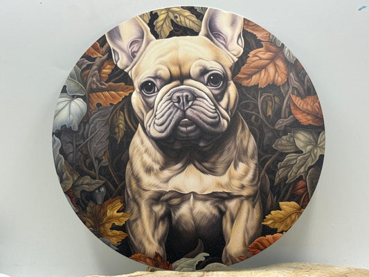 Französische Bulldogge Türschild / Dekoschild / Blechschild #82