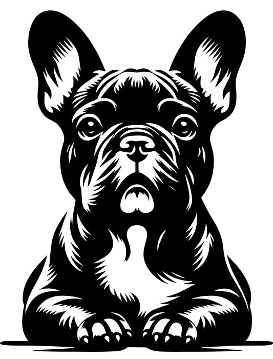Französische Bulldogge Autoaufkleber #302
