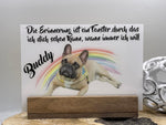 Adventskalender für Frauchen/Herrchen und Hund