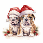 Englische Bulldogge Bügelbild Weihnachten #44