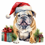 Englische Bulldogge Bügelbild Weihnachten #45