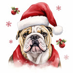 Englische Bulldogge Bügelbild Weihnachten #46