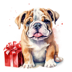 Englische Bulldogge Bügelbild Weihnachten #15