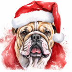 Englische Bulldogge Bügelbild Weihnachten #47