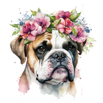 Englische Bulldogge Bügelbild #9