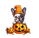 Französische Bulldogge Bügelbild Halloween #11