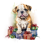 Englische Bulldogge Bügelbild Weihnachten #28