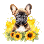 Französische Bulldogge Bügelbild Floral #8