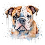 Englische Bulldogge Bügelbild #13