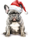 Französische Bulldogge Bügelbild Weihnachten #51