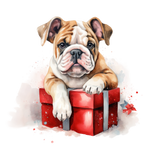 Englische Bulldogge Bügelbild Weihnachten #3