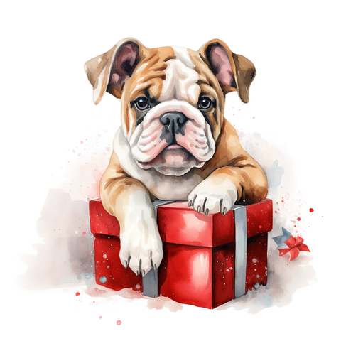 Englische Bulldogge Bügelbild Weihnachten #3