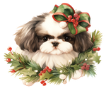 Shih Tzu Bügelbild Weihnachten #4