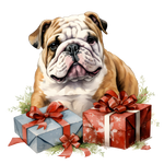 Englische Bulldogge Bügelbild Weihnachten #51