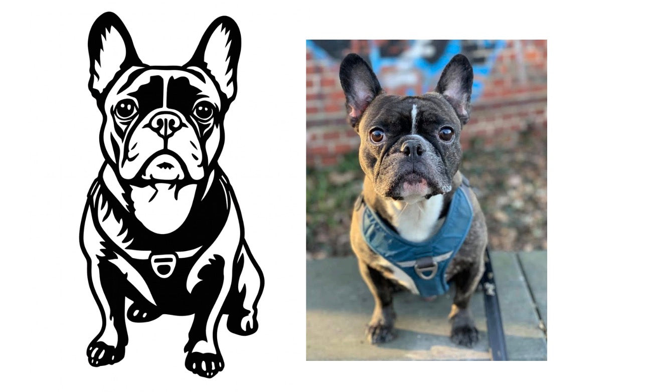 nach Fotovorlage 35cm Vektorgrafik (ein Tier)