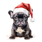 Französische Bulldogge Bügelbild Weihnachten #96