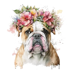 Englische Bulldogge Bügelbild #10