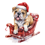 Englische Bulldogge Bügelbild Weihnachten #25