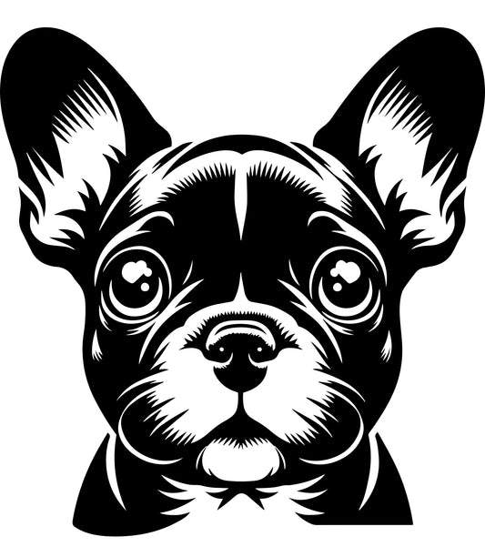 Französische Bulldogge Autoaufkleber #282