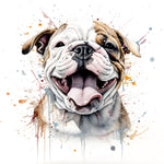 Englische Bulldogge Bügelbild #14