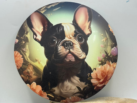 Französische Bulldogge Türschild / Dekoschild / Blechschild #91