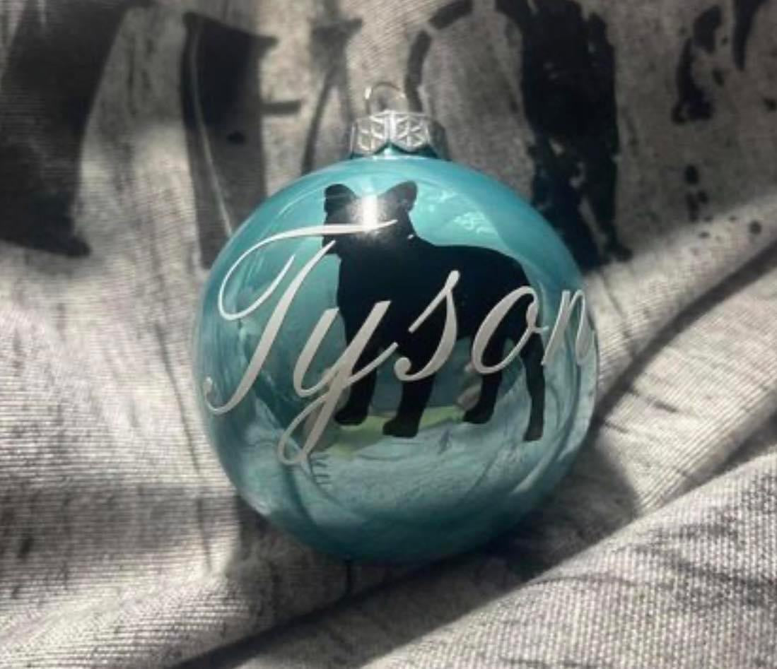 Weihnachtskugeln mit Wunschrasse und Namen aus Glas