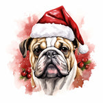 Englische Bulldogge Bügelbild Weihnachten #30