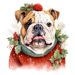 Englische Bulldogge Bügelbild Weihnachten #53