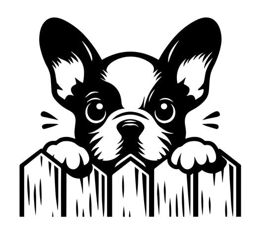 Französische Bulldogge Autoaufkleber #308