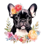Französische Bulldogge Bügelbild Floral #4